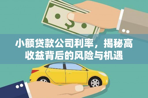 光复小额贷款公司利率，揭秘高收益背后的风险与机遇