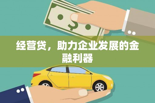 鄯善经营贷，助力企业发展的金融利器