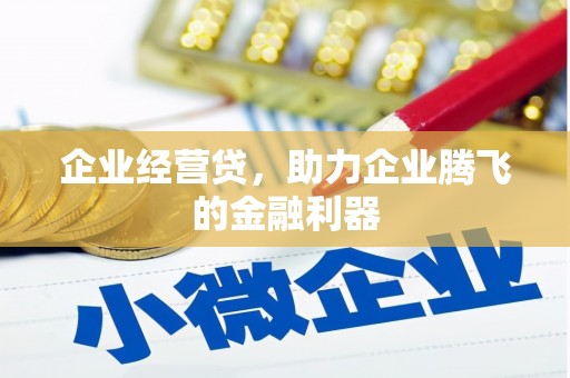 硚口企业经营贷，助力企业腾飞的金融利器