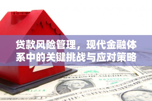 炉霍贷款风险管理，现代金融体系中的关键挑战与应对策略