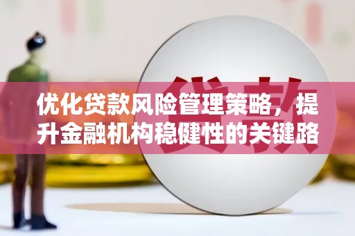 孝感优化贷款风险管理策略，提升金融机构稳健性的关键路径