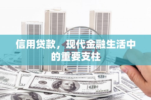 沙洋信用贷款，现代金融生活中的重要支柱