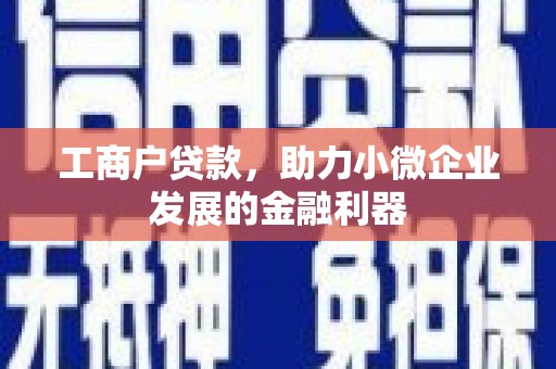 林甸工商户贷款，助力小微企业发展的金融利器