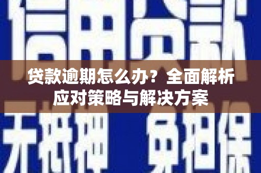 巍山贷款逾期怎么办？全面解析应对策略与解决方案