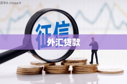 平南外汇贷款