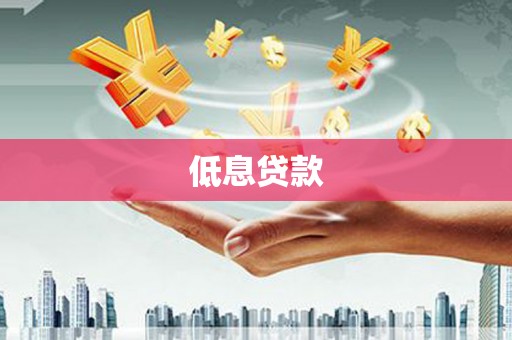 叶城低息贷款