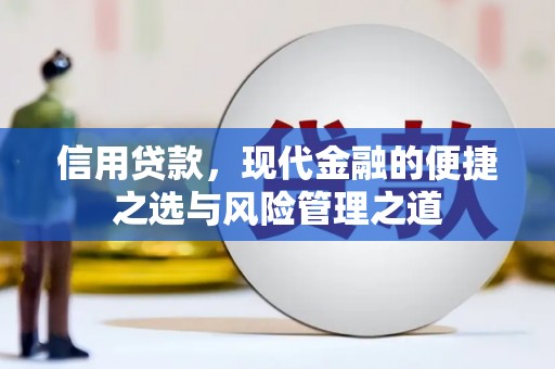 崇左信用贷款，现代金融的便捷之选与风险管理之道