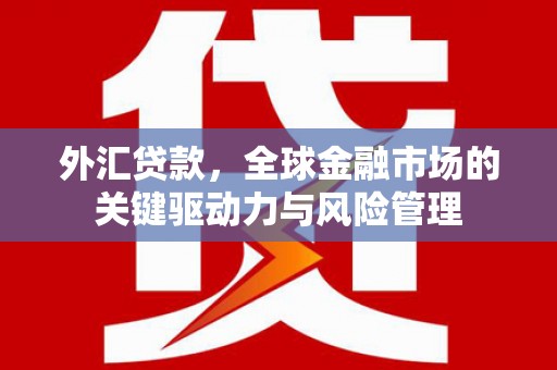 临夏外汇贷款，全球金融市场的关键驱动力与风险管理