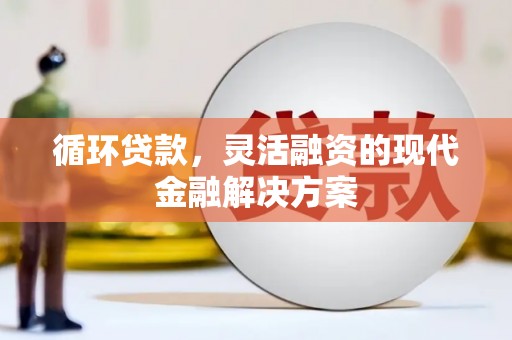 临沧循环贷款，灵活融资的现代金融解决方案