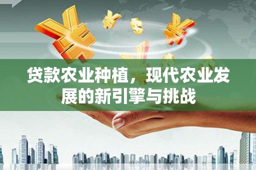 思南贷款农业种植，现代农业发展的新引擎与挑战