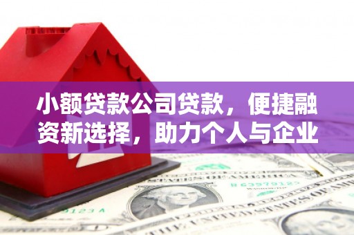 连平小额贷款公司贷款，便捷融资新选择，助力个人与企业成长