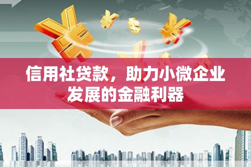 华龙信用社贷款，助力小微企业发展的金融利器
