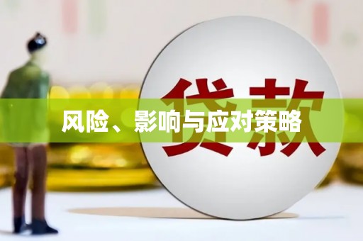 宝应风险、影响与应对策略