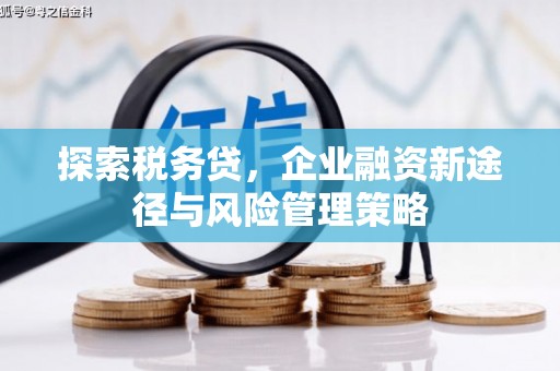 安陆探索税务贷，企业融资新途径与风险管理策略