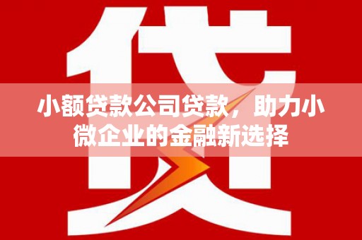 礼县小额贷款公司贷款，助力小微企业的金融新选择