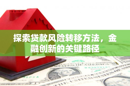 阳新探索贷款风险转移方法，金融创新的关键路径