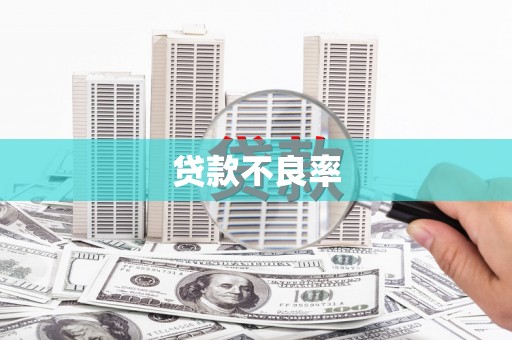 美兰贷款不良率