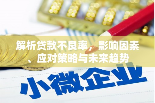 皋兰解析贷款不良率，影响因素、应对策略与未来趋势
