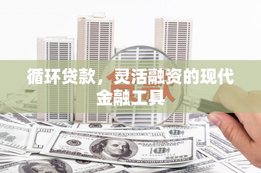 碌曲循环贷款，灵活融资的现代金融工具