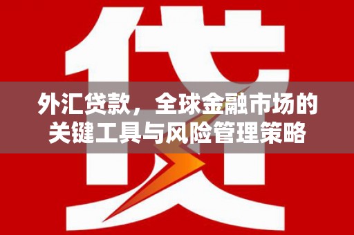 云浮外汇贷款，全球金融市场的关键工具与风险管理策略