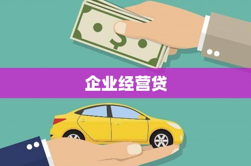 天元企业经营贷
