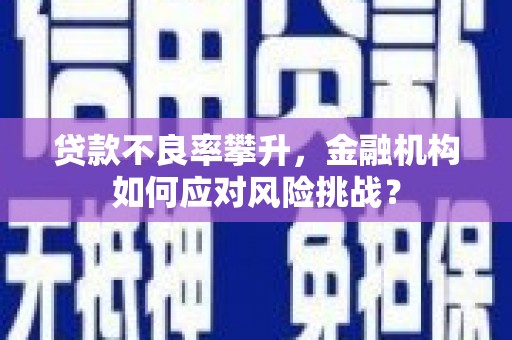 七美贷款不良率攀升，金融机构如何应对风险挑战？