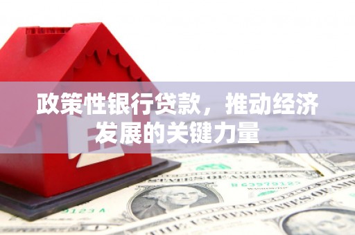 京口政策性银行贷款，推动经济发展的关键力量
