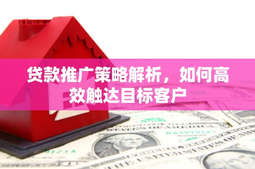 西林贷款推广策略解析，如何高效触达目标客户