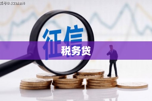 伊犁税务贷