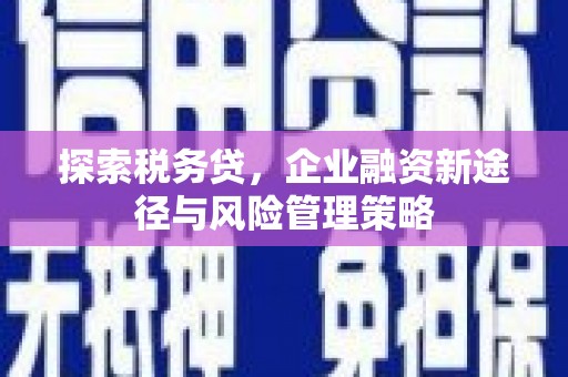 乌拉特前旗探索税务贷，企业融资新途径与风险管理策略