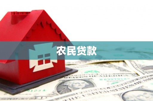 芬园农民贷款