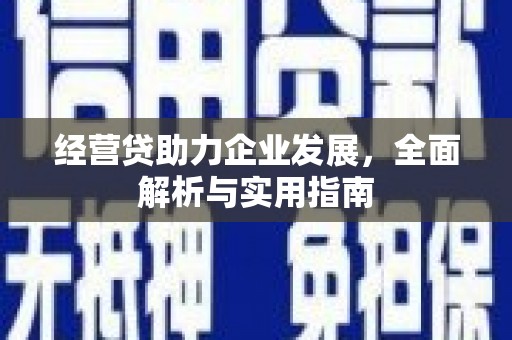 瑞穗经营贷助力企业发展，全面解析与实用指南
