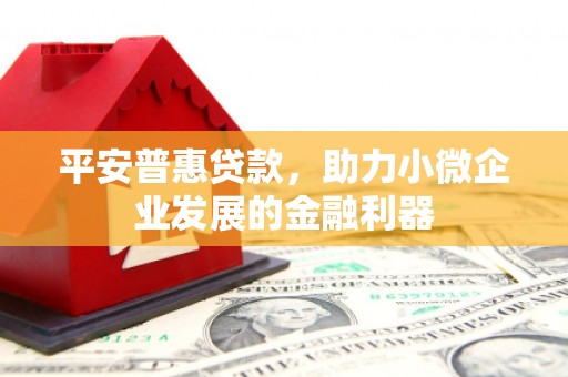 赤坎平安普惠贷款，助力小微企业发展的金融利器
