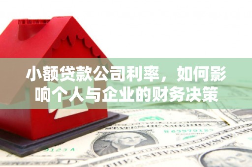 西青小额贷款公司利率，如何影响个人与企业的财务决策