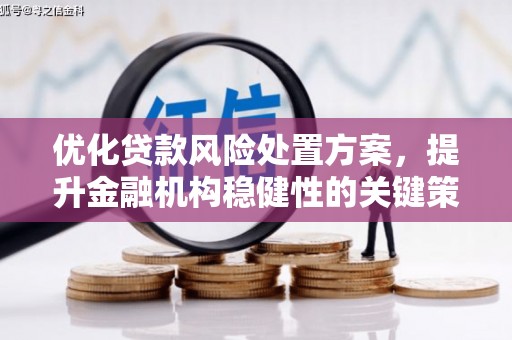 建昌优化贷款风险处置方案，提升金融机构稳健性的关键策略