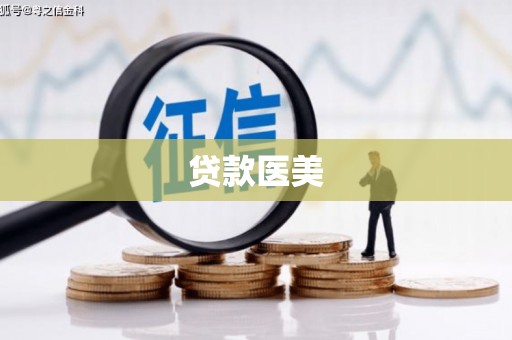 上林贷款医美