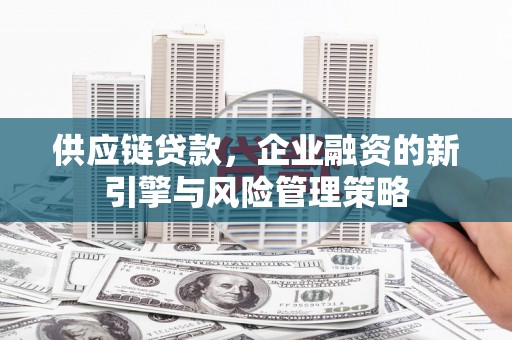 颍泉供应链贷款，企业融资的新引擎与风险管理策略