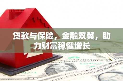 大甲贷款与保险，金融双翼，助力财富稳健增长