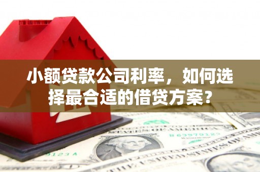 滑县小额贷款公司利率，如何选择最合适的借贷方案？