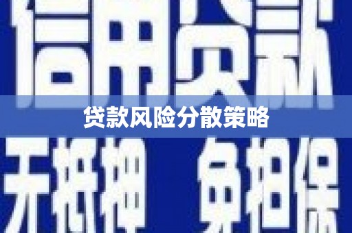 褒忠贷款风险分散策略