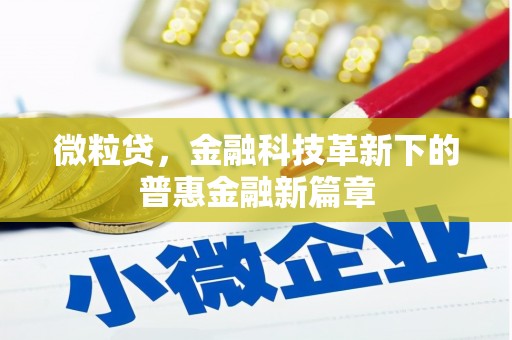 回民微粒贷，金融科技革新下的普惠金融新篇章