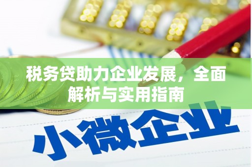 太和税务贷助力企业发展，全面解析与实用指南