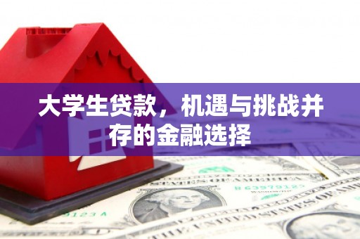 褒忠大学生贷款，机遇与挑战并存的金融选择