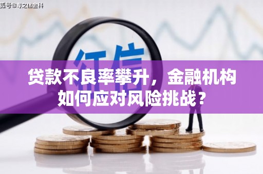 三沙贷款不良率攀升，金融机构如何应对风险挑战？