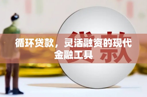 宜宾循环贷款，灵活融资的现代金融工具