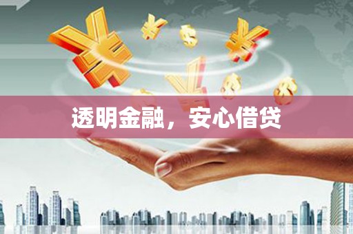 道里透明金融，安心借贷