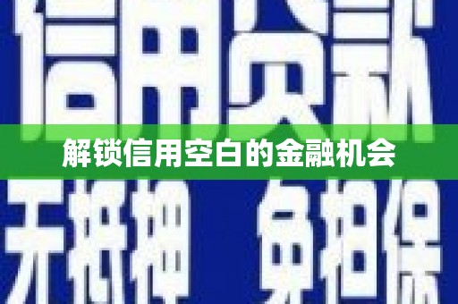 苏尼特右旗解锁信用空白的金融机会