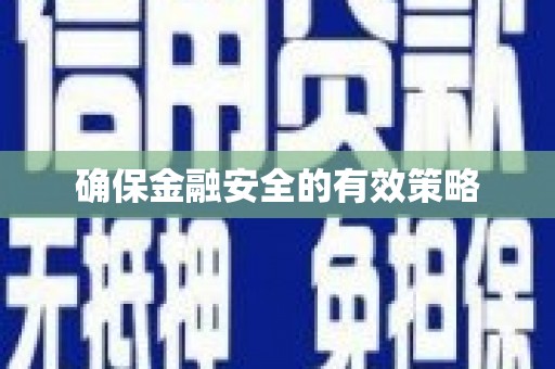 西昌确保金融安全的有效策略