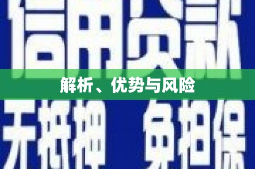 永靖解析、优势与风险