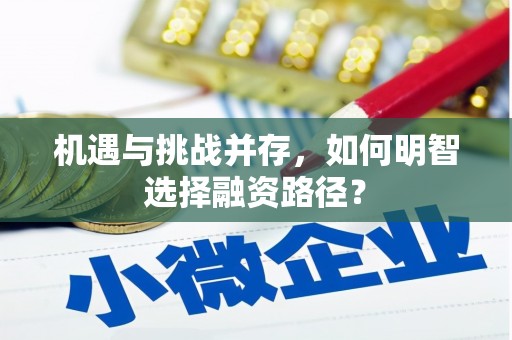 苏尼特右旗机遇与挑战并存，如何明智选择融资路径？